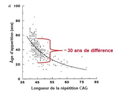 AAO vs CAG