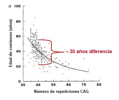 AAO vs CAG