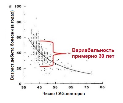 AAO vs CAG